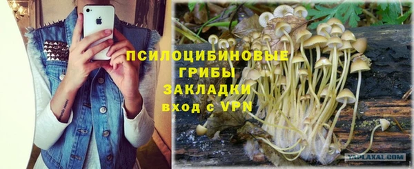 ешки Абаза