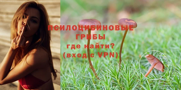сатива Абдулино