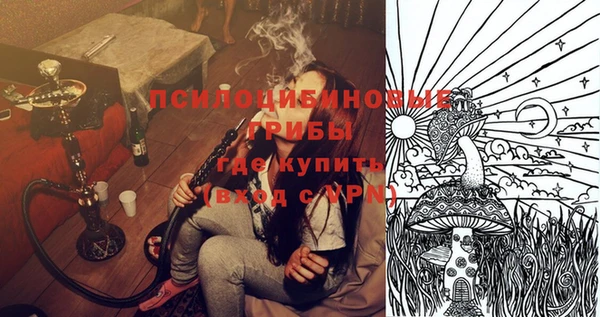 прущая мука Няндома