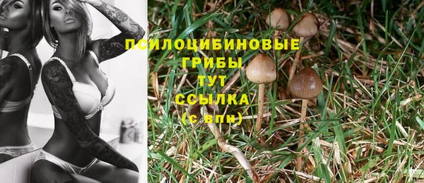COCAINE Абинск