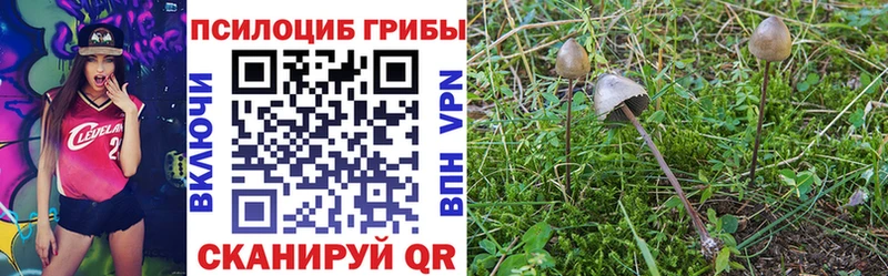 Галлюциногенные грибы мицелий  Шимановск 
